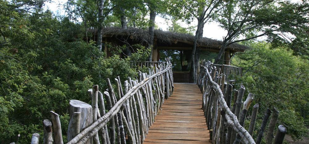 Tree Lodge Nidos De Pucón Zewnętrze zdjęcie