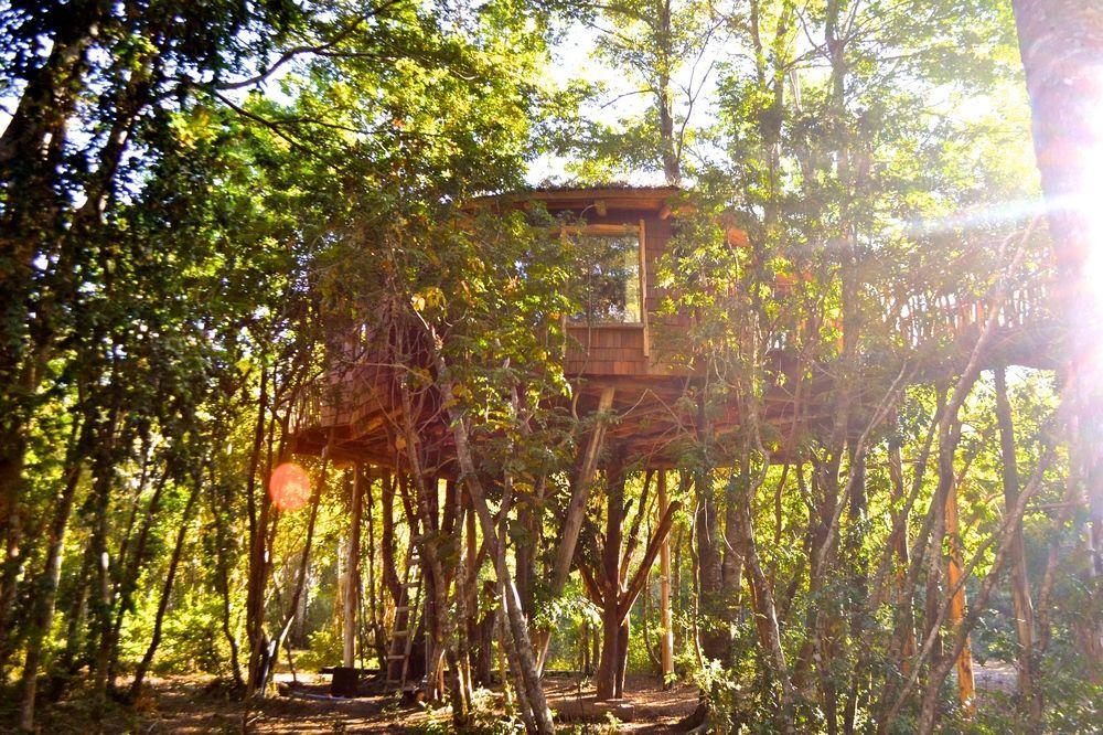 Tree Lodge Nidos De Pucón Zewnętrze zdjęcie