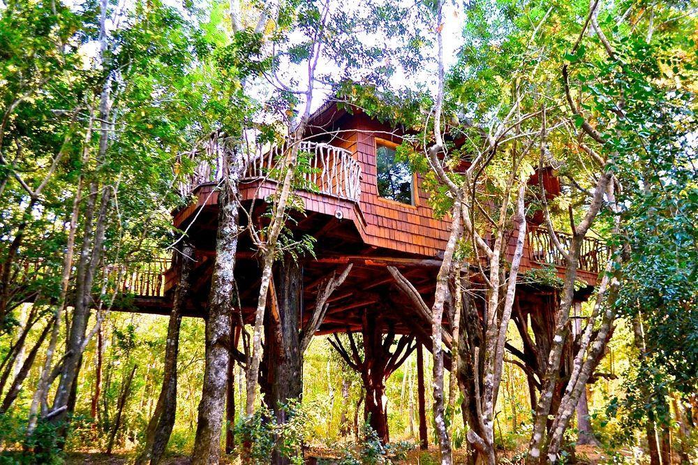 Tree Lodge Nidos De Pucón Zewnętrze zdjęcie