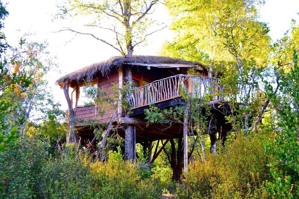 Tree Lodge Nidos De Pucón Zewnętrze zdjęcie