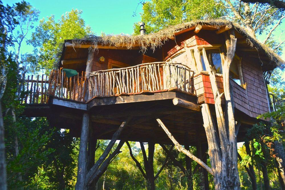 Tree Lodge Nidos De Pucón Zewnętrze zdjęcie