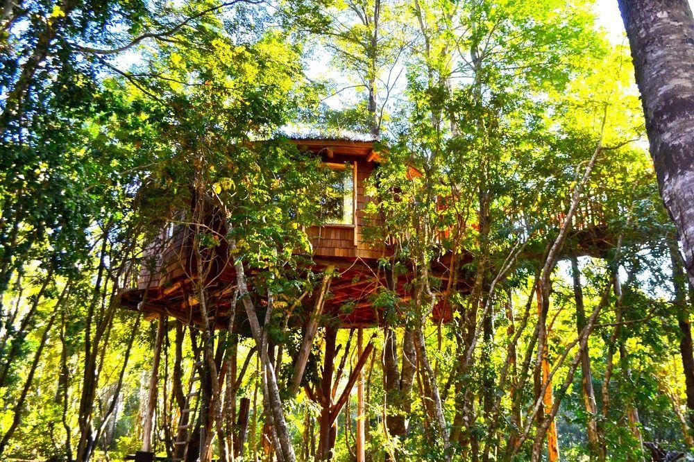 Tree Lodge Nidos De Pucón Zewnętrze zdjęcie