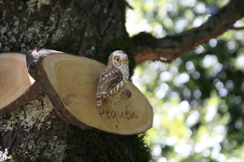 Tree Lodge Nidos De Pucón Zewnętrze zdjęcie