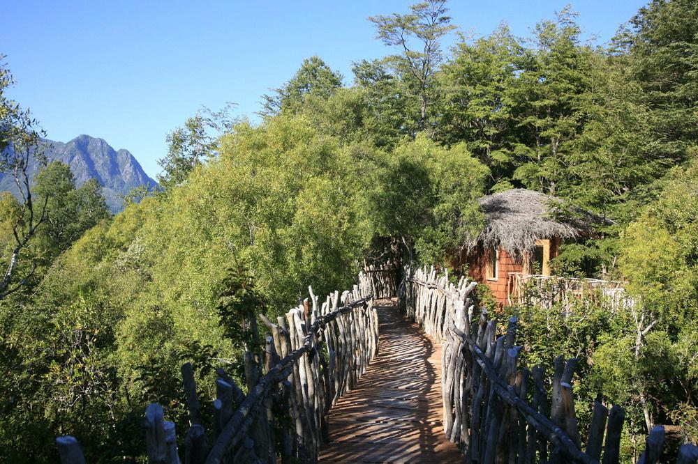 Tree Lodge Nidos De Pucón Zewnętrze zdjęcie
