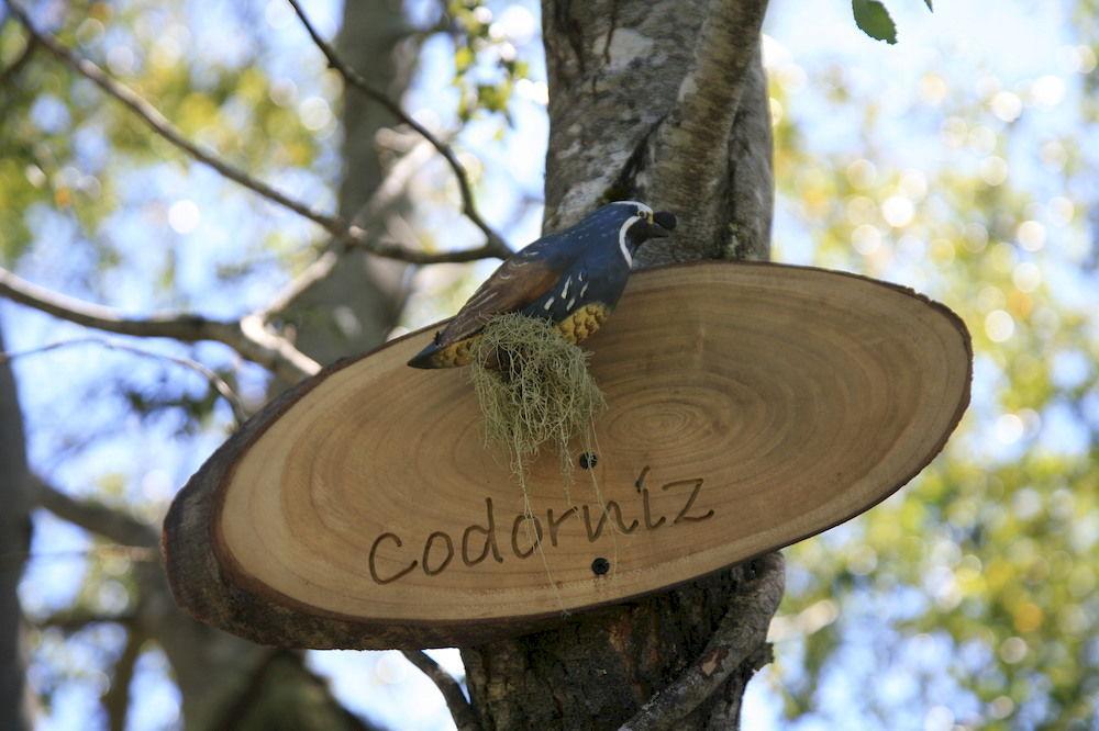 Tree Lodge Nidos De Pucón Zewnętrze zdjęcie
