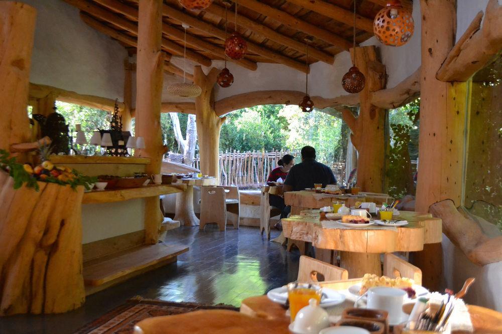 Tree Lodge Nidos De Pucón Zewnętrze zdjęcie