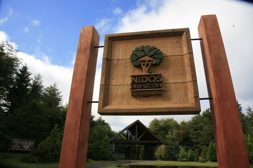 Tree Lodge Nidos De Pucón Zewnętrze zdjęcie