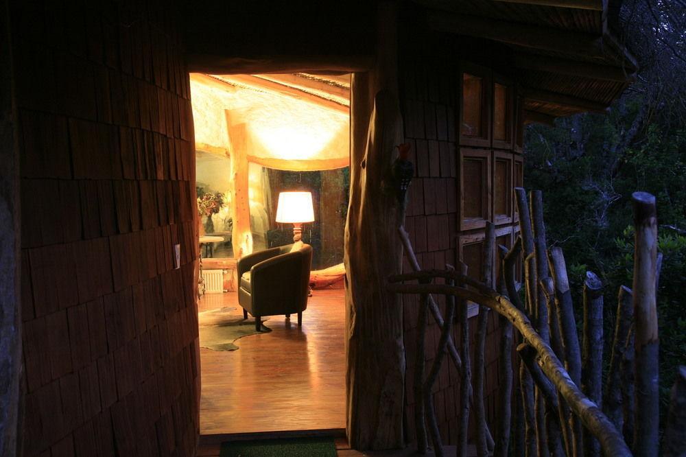 Tree Lodge Nidos De Pucón Zewnętrze zdjęcie