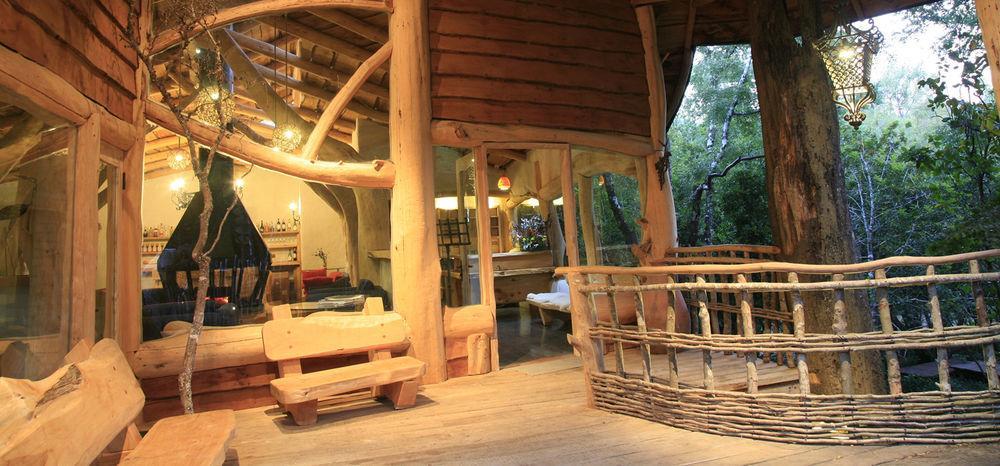 Tree Lodge Nidos De Pucón Zewnętrze zdjęcie